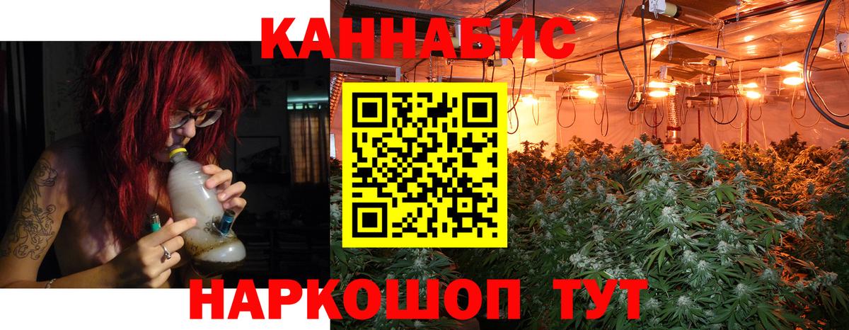 Конопля план Чистополь